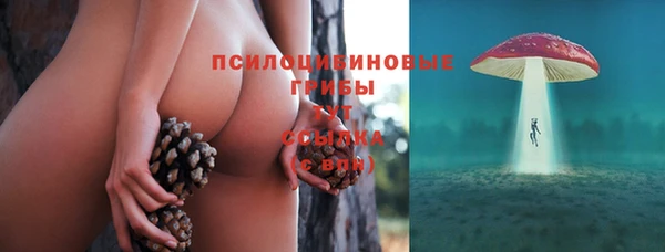 ALPHA PVP Бугульма