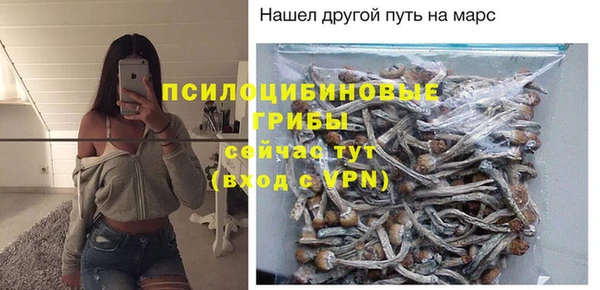 ALPHA PVP Бугульма